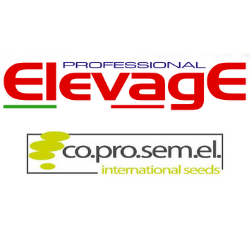 Elevage